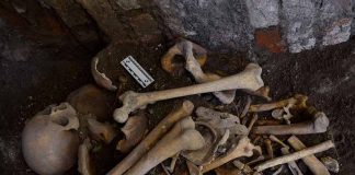 19th century Mexican remains found in Puebla city by INAH