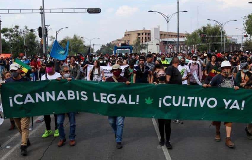 World Cannabis Day Mexico City 2022