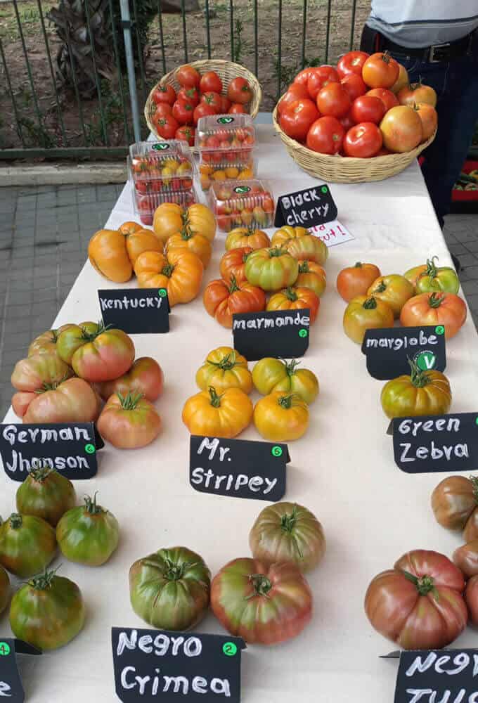 tomatoes at organic market