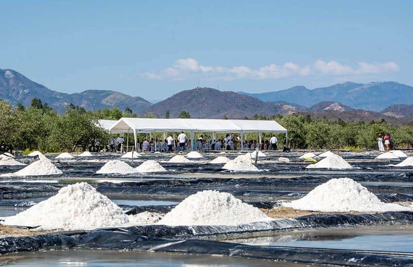Salt fields in Guerrero