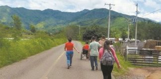 As fighting between cartels got worse in Coalcomán, Michoacán, last year, hundreds of families left the area, some traveling on foot with just what they could carry.