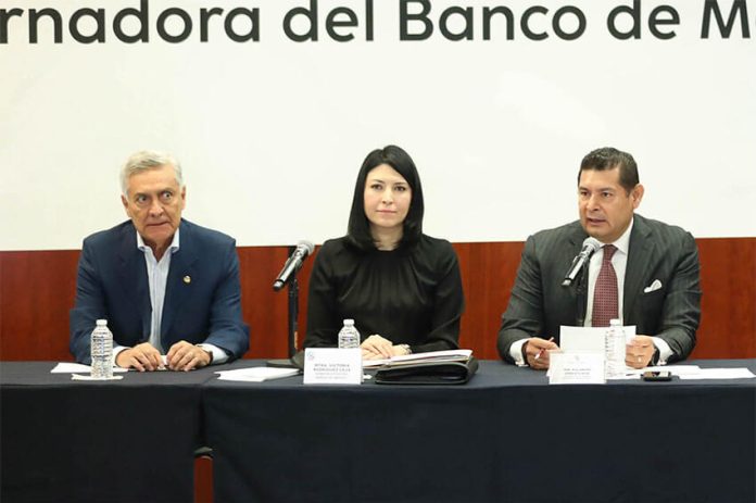 The head of the Bank of México, Victoria Rodríguez Ceja, appeared before the Senate's Finance and Public Credit Committee on Thursday.