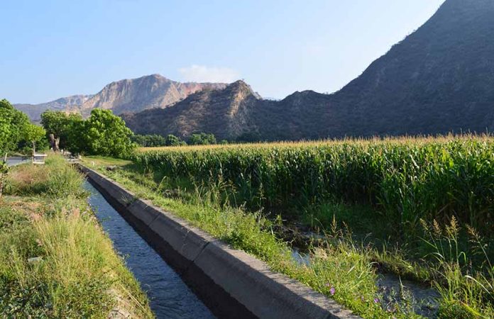 Hidalgo biosphere reserve offers something new to see at nearly every turn