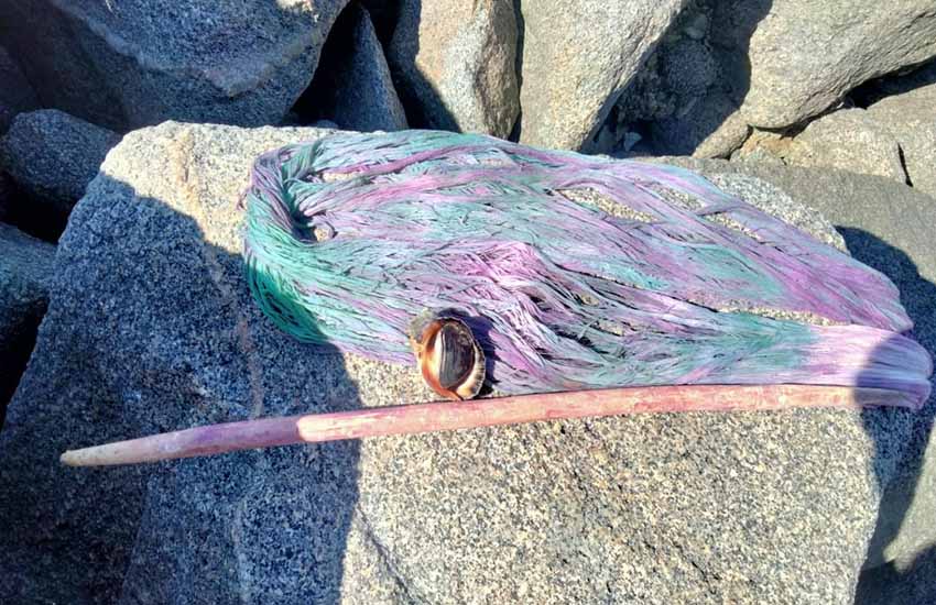 threads dyed with natural purpura pansa snail