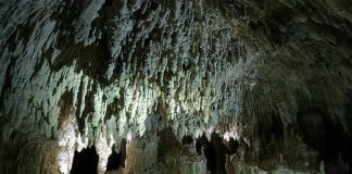 Templo Mayor cenote, Quintana Roo