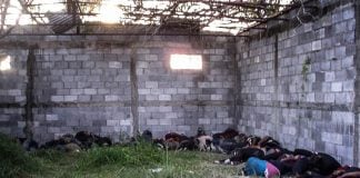 The navy found the bodies of the victims — 58 men and 14 women — on a farm in August 2010.