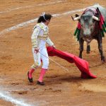 Bullfighting has already been banned in five states.
