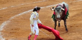 Bullfighting has already been banned in five states.