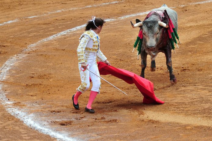 Bullfighting has already been banned in five states.