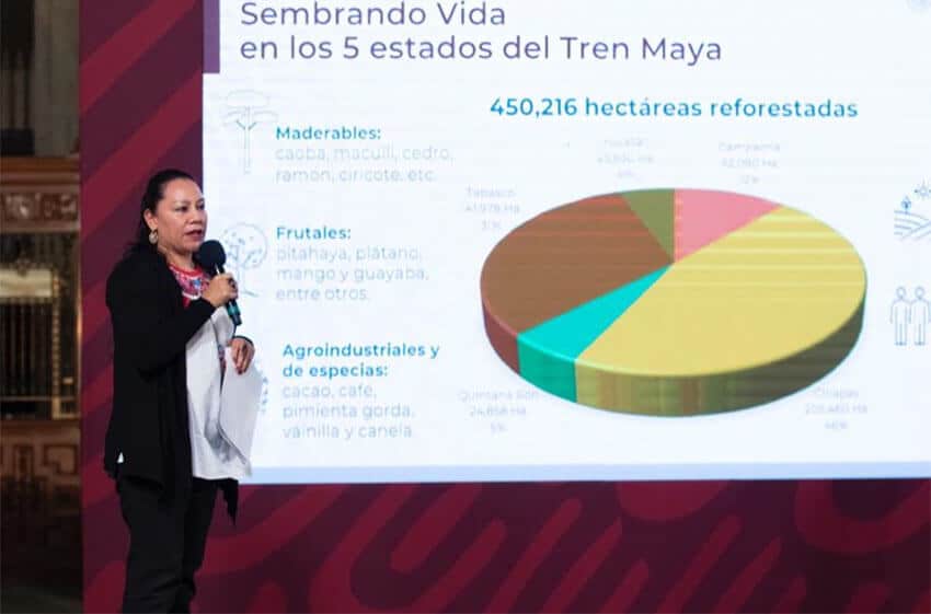 Environment Minister María Luisa Albores talked about environmental issues related to the Maya Train at the president's Monday morning conference.