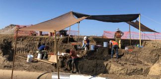 The site was discovered during infrastructure work on Avenida del Delfín, on the north side of the city.