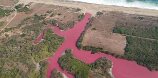 The pink waters of the lagoon on the coast of Oaxaca.