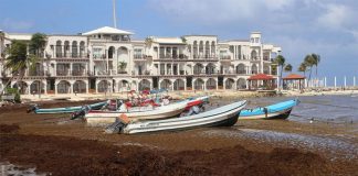 The stinky seaweed is both difficult and expensive to clean up.