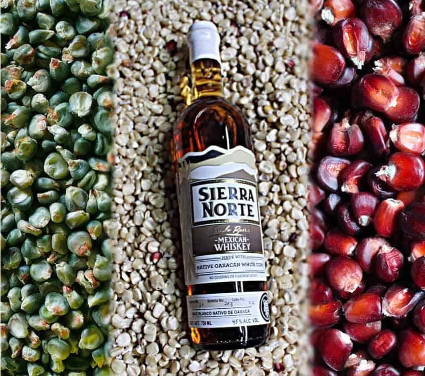 Sierra Norte Mexican whisky
