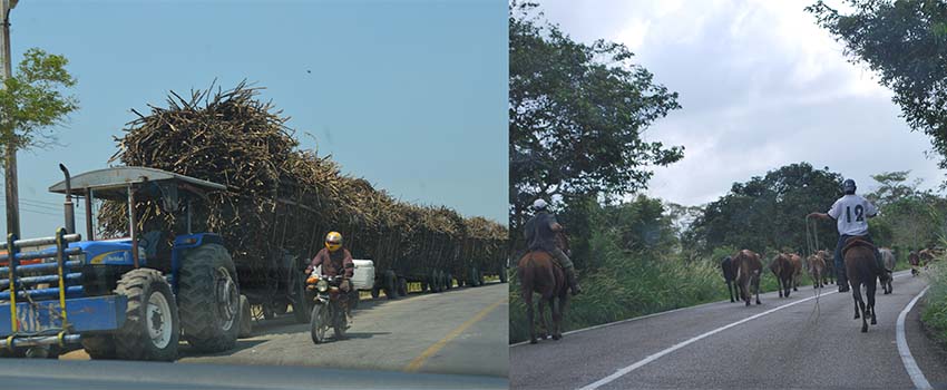 rural roads in Mexico