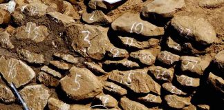 Ruins of the Palacio de Ocomo in Oconahua, Jalisco
