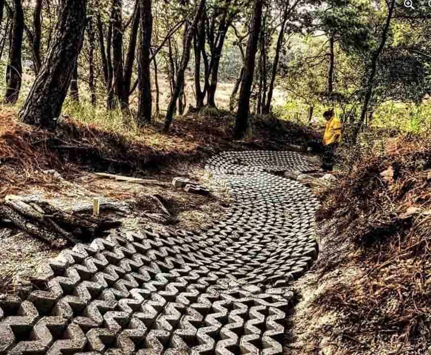 Primavera Forest, Guadalajara