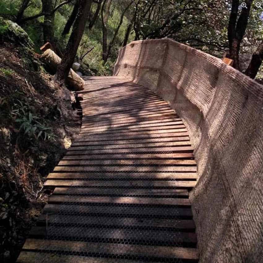 Bridge in Primavera Forest, Guadalajra