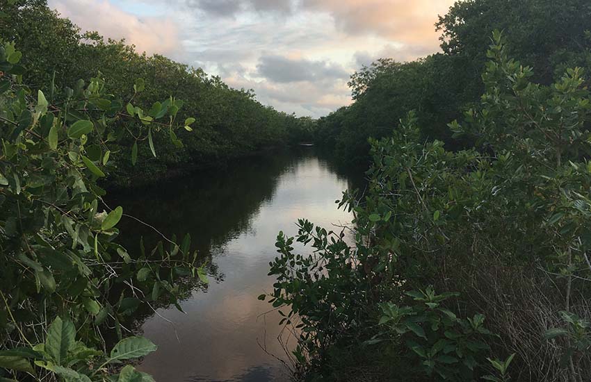 El Palmar State Reserve