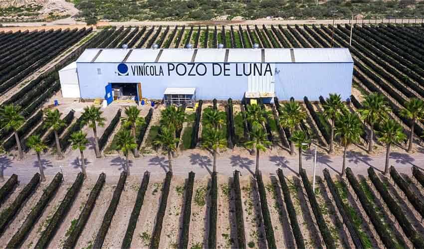 Pozo de Luna vineyards in San Luis Potosi