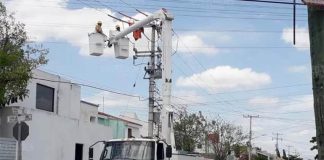 Mexican electricity workers.