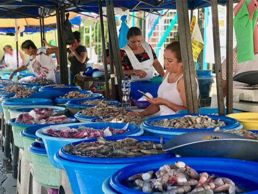 female shrimp sellers (changueras) in Mazatlan