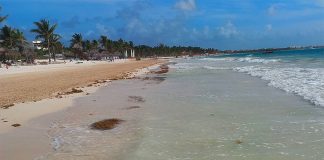 Sargassum-free Maroma Beach in Playa del Carmen.