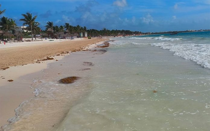 Sargassum-free Maroma Beach in Playa del Carmen.