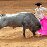 A bullfight at Plaza México