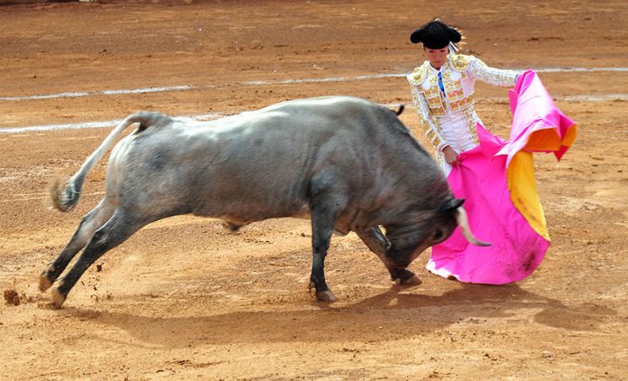 A bullfight at Plaza México