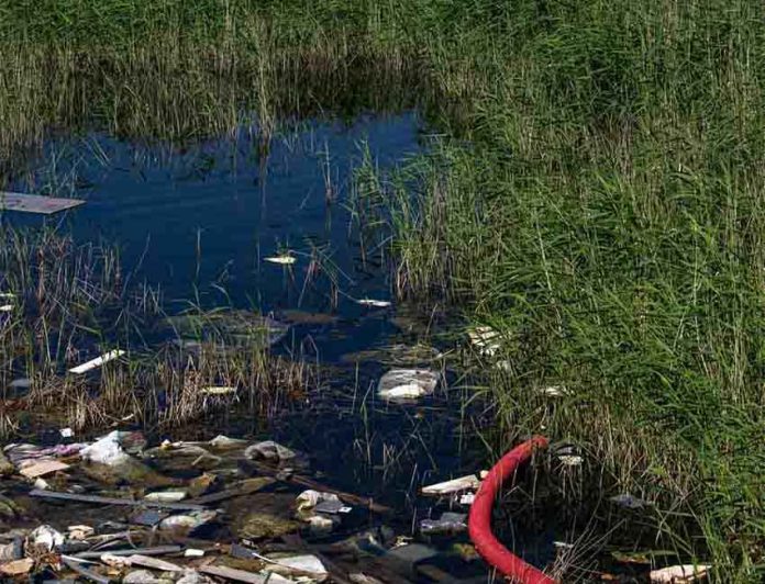 polluted Veracruz waterway
