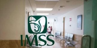 The Mexican Social Security Institute (IMSS) is one branch of the National Health System.