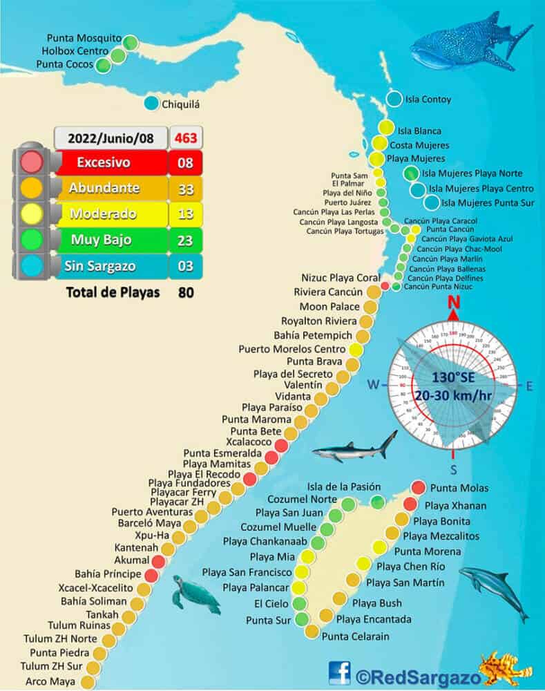 The latest sargassum map