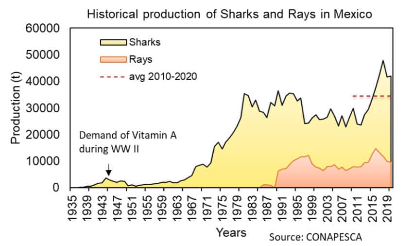 Historical development of shark and ray fishing in Mexico shows the first increase in production was due to the demand for liver oil for vitamin A extraction in WWII. The fishery entered its growth stage in the early 1960s, and the ray fishery emerged in the early 1990s. 