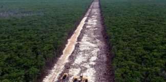 Land cleared for the Maya train near Playa del Carmen, in April.