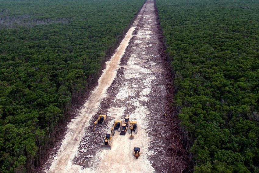 Land cleared for the Maya train near Playa del Carmen, in April.