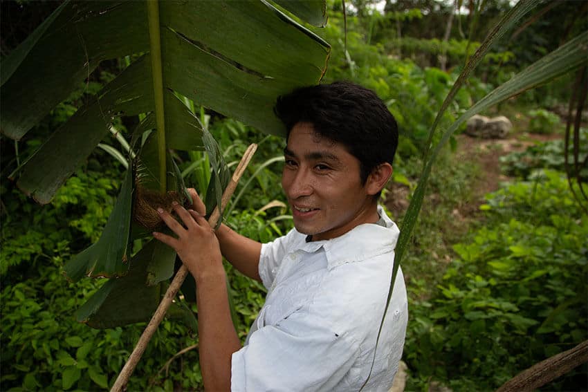 Cecilia's brother Victor Facundo Cahum Cahum farms the land every day in the jungle, often finding birds' nests and other signs of wildlife surrounding the community. 