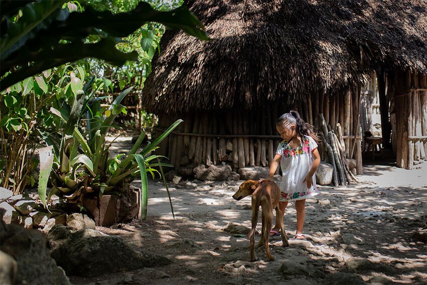 Cecilia's niece Dayami Xareni Cahum Dzul plays with a dog at home in their community.