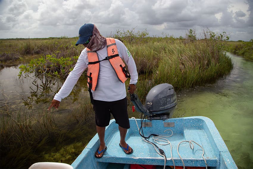 A member of the Maya ecotourism group "Community Tours Sian Ka'an" drives a tourist boat through the Sian Ka'an Biosphere Reserve. The reserve holds special meaning for the local Maya community; its name means "where the sky is born.” Tourism slowed early in the pandemic, but has now picked back up, providing an income for the indigenous tour guides.
