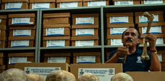 Researcher Javier Montes with bones and skulls found in Chiapas.