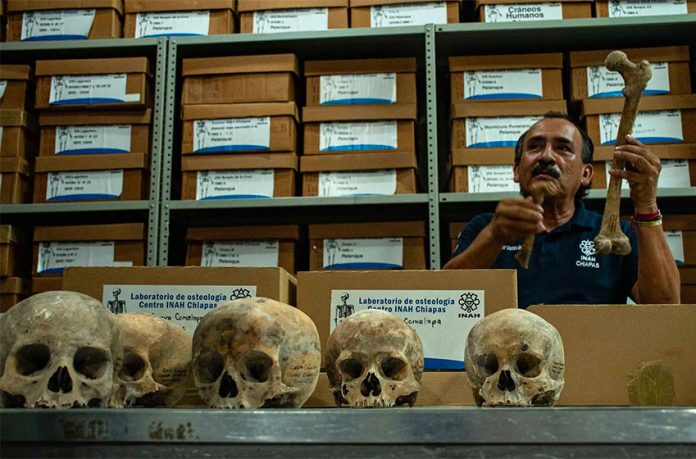 Researcher Javier Montes with bones and skulls found in Chiapas.