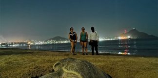 A sea turtle on the beach in Manzanillo.