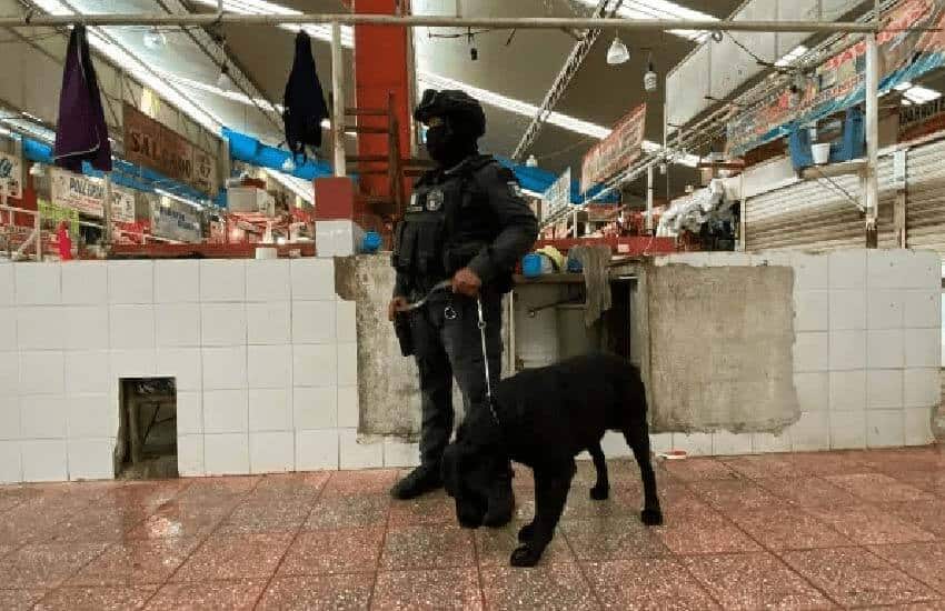 A police officer stands watch at the Baltazar R. Leyva Mancilla market.