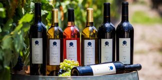 Pozo de Luna wines from San Luis Potosi