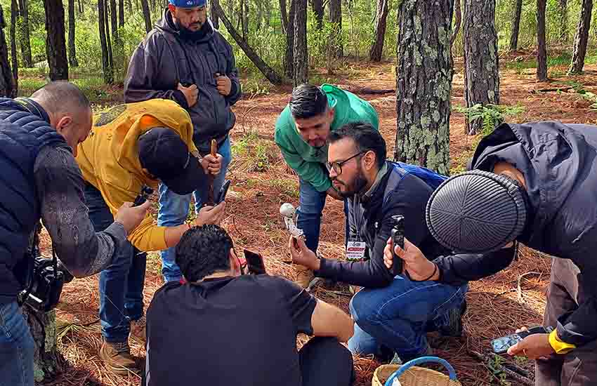 A University of Guadalajara mycologist, center, answers questions about mushrooms.