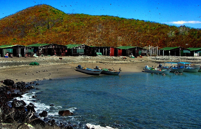 Fishermen’s homes on Isla Isabel. Small communities like this one can be found on even the most remote islands.