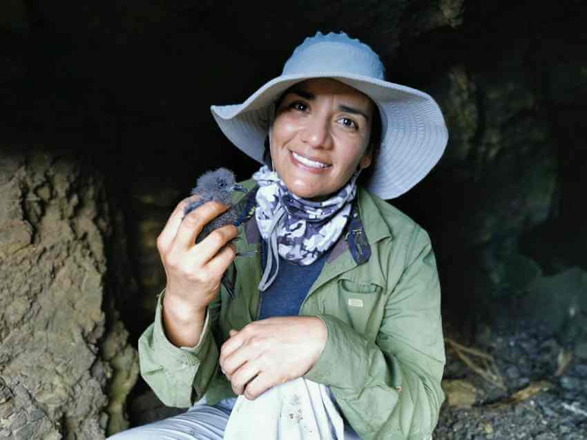 Yuliana Bedolla, director of GECI's Seabird Project, is studying for her doctorate in Germany.
