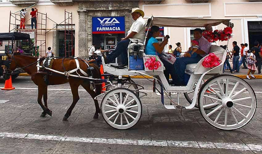 horse drawn buggy in Merida
