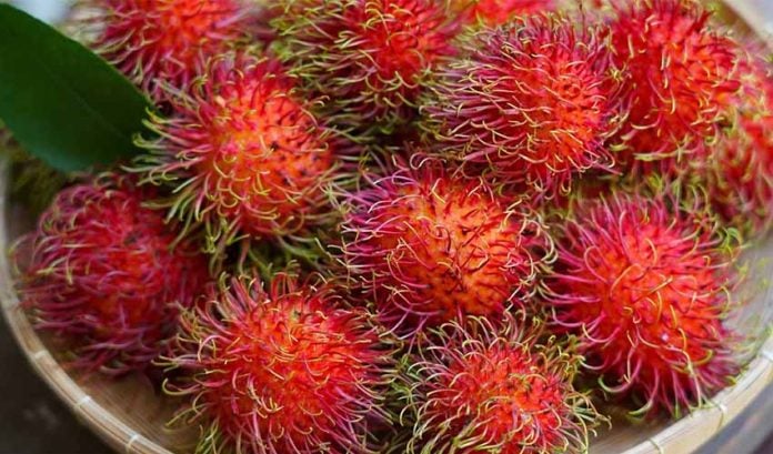 It's lychee season and rambutans aren't far behind