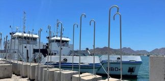 The concrete blocks have hooks designed to snag fishing nets in the no-fishing zone.